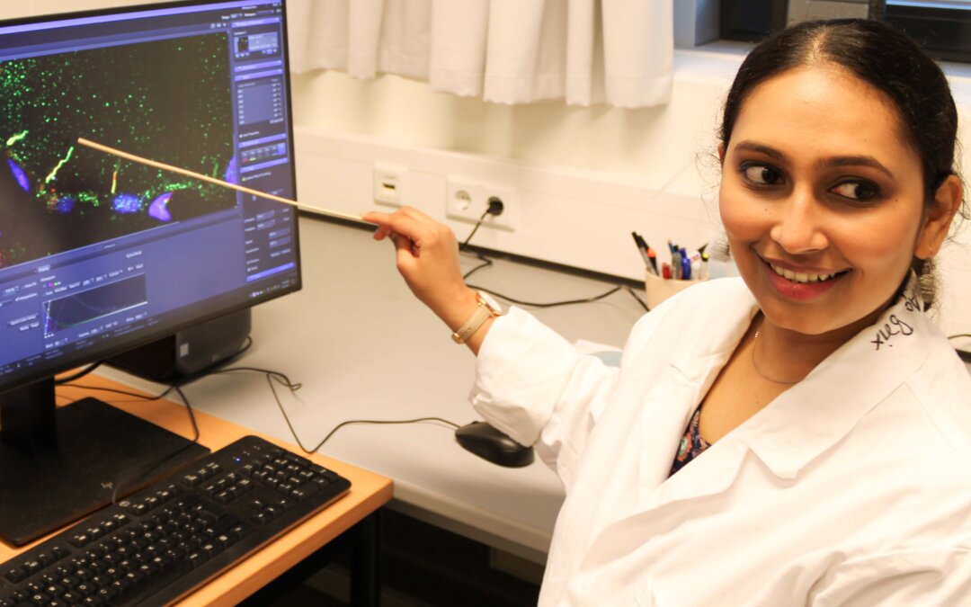 High Potentials – weltumspannend