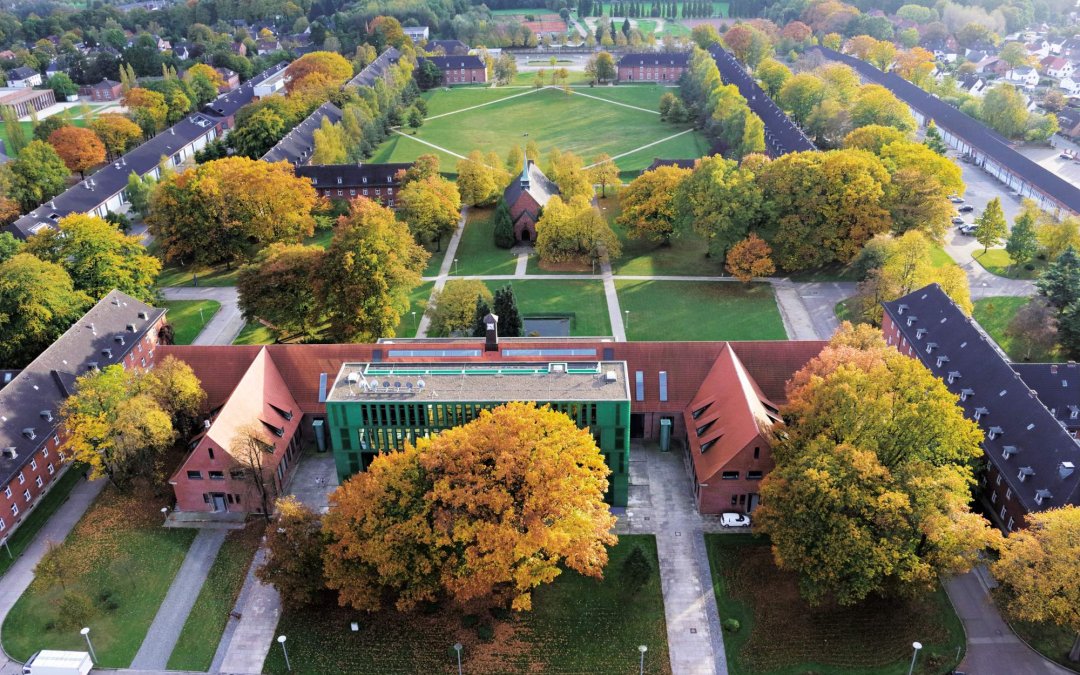 Vom Hörsaal in die Praxis: Studenten der Constructor University unterstützen soziale Initiativen